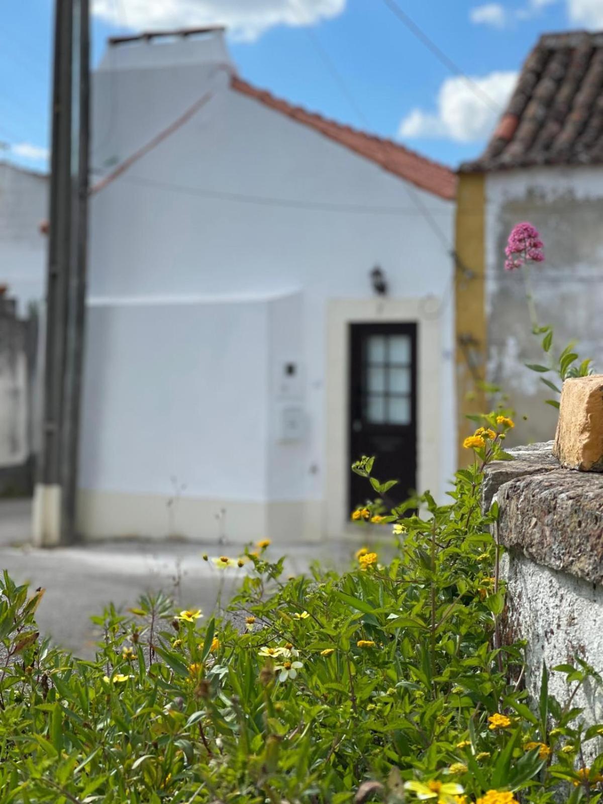 Aldeia de São Pedro Casa De Sao Pedroヴィラ エクステリア 写真