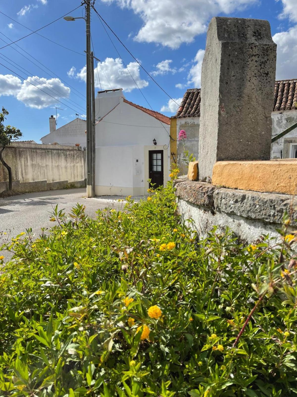 Aldeia de São Pedro Casa De Sao Pedroヴィラ エクステリア 写真